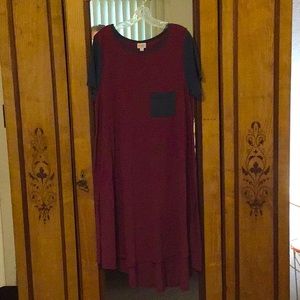 LuLaRoe Carly Swing Dress
